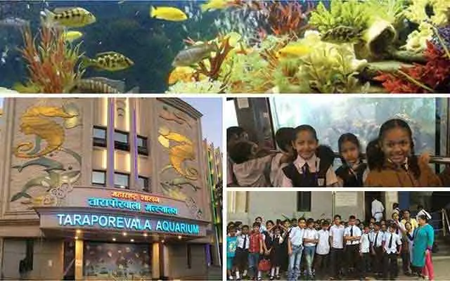 Excursion to Aquarium & Museum