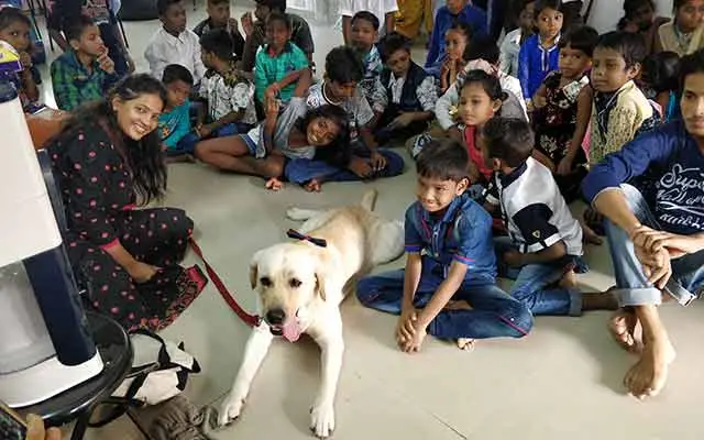 Diwali Celebrations