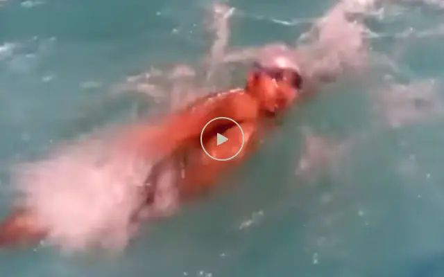 Para Swimming  Training Program
