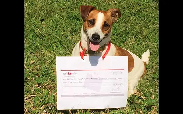 Fund Contribution