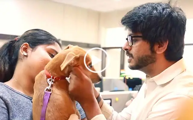 BAS Pet-A-Thon