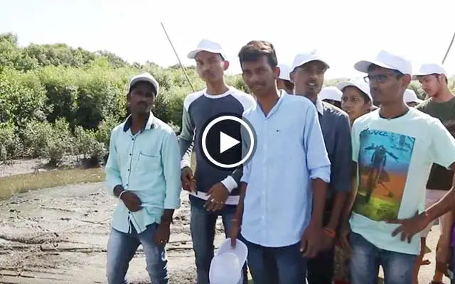 Mission Mangroves