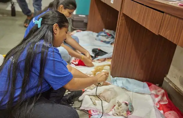 Celebrated World Spay Day - Sterilized 76 cats